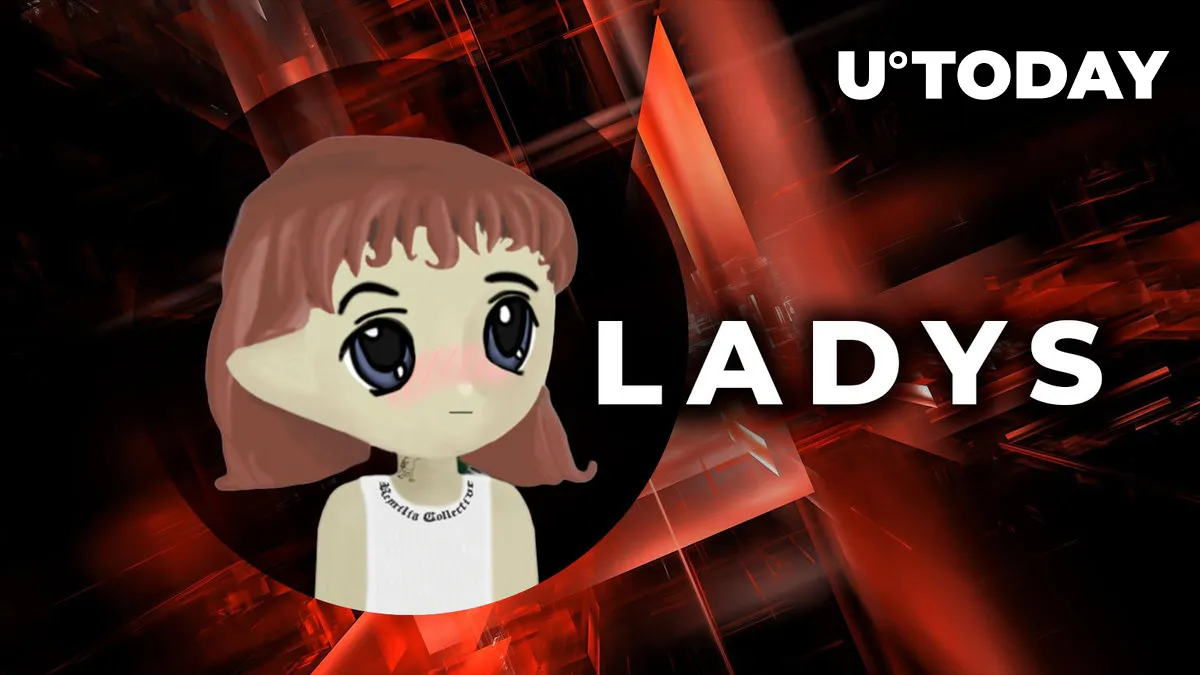 Milady Meme Coin (LADYS) Under Siege: What's Happening?
