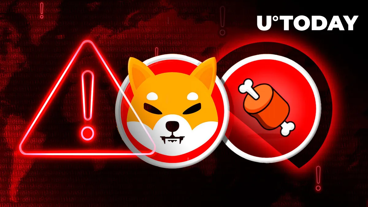 Shiba Inu Team Issues Critical Alert as BONE Renounced