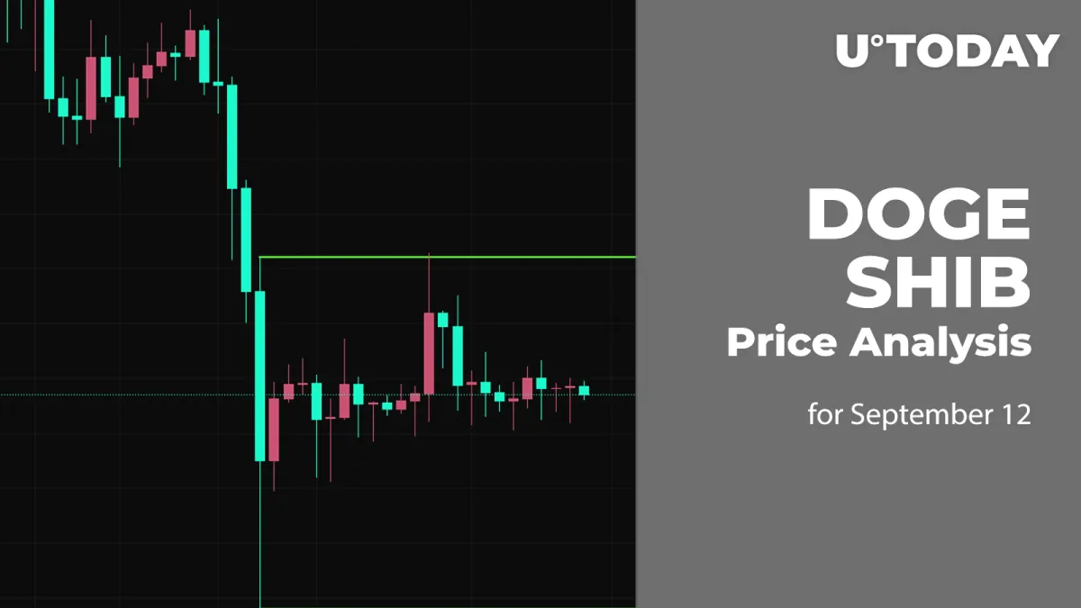 DOGE and SHIB Price Analysis for September 12