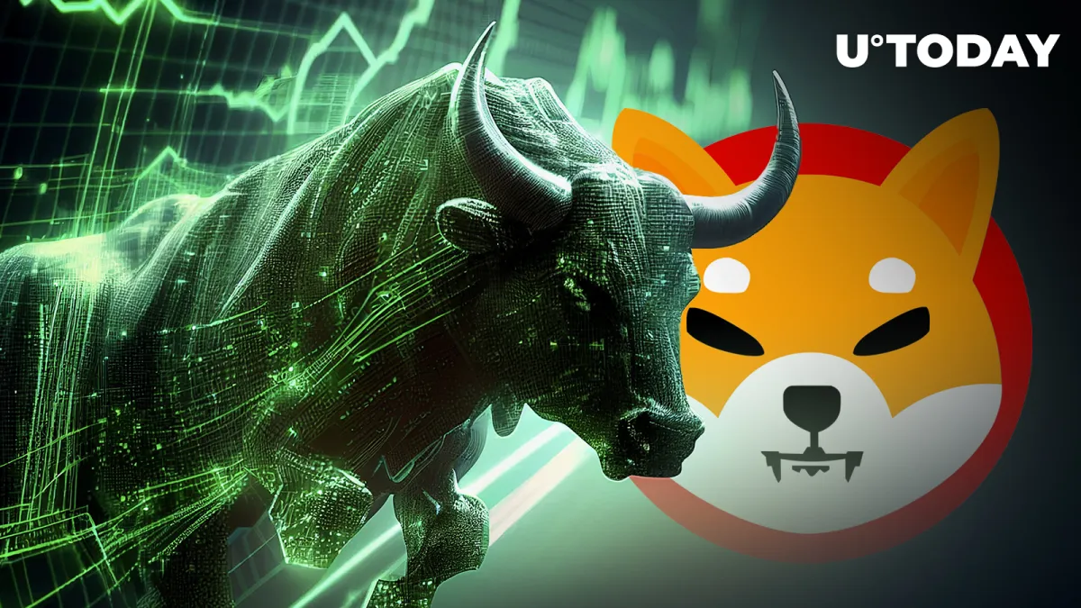 Shiba Inu Official Reveals What to Expect From SHIB in Next Bull Cycle