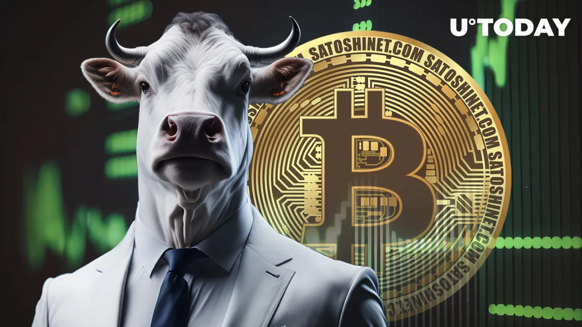 Ultra Bullish Divergence Found in Important Bitcoin (BTC) Index