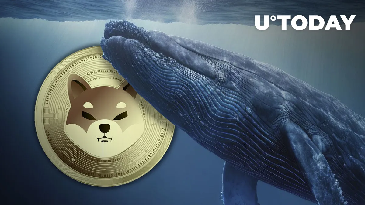 Shiba Inu: Here's What's Behind 229% Surge in SHIB Whale Transactions