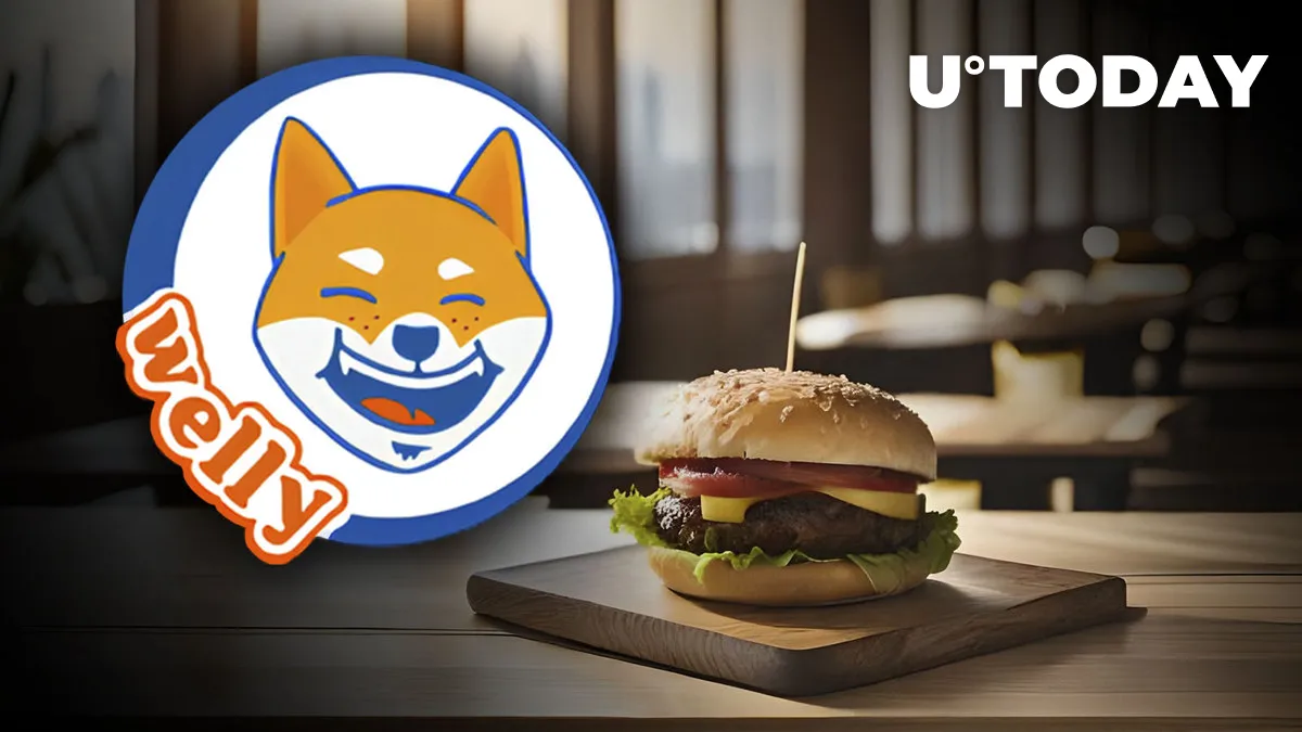 Shiba Inu (SHIB) Partner Welly's Boasts Major Upgrade