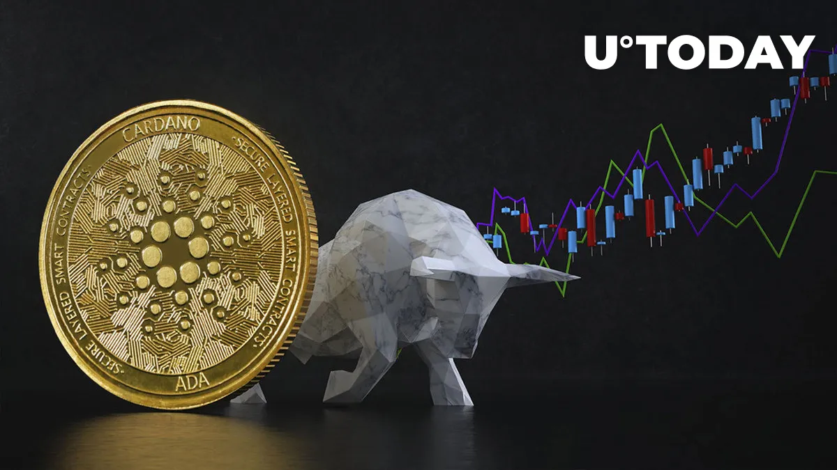 Cardano's On-Chain Metrics Signal Bullish Trend
