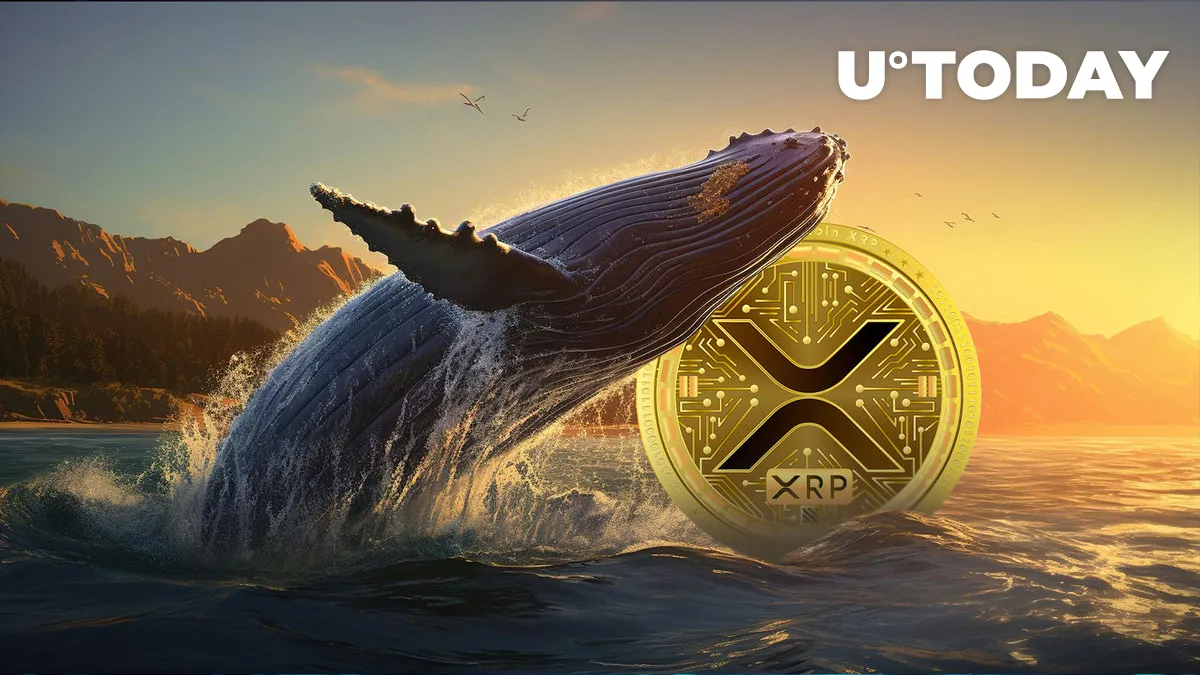 XRP Whales Are Responsible for This 23% Price Increase, But There's More