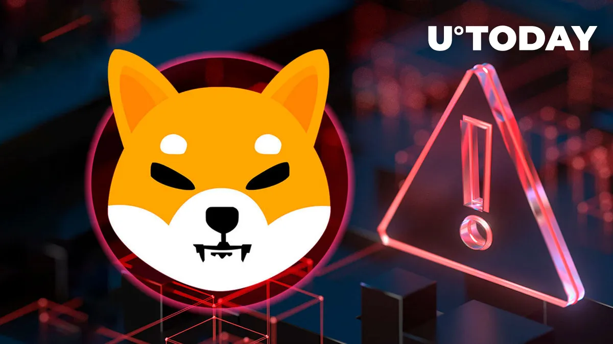 Big New SHIB Project Website Faces Issue With User Login Feature