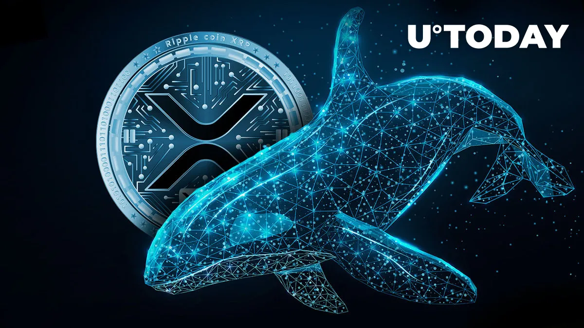 Almost 900 Million XRP Moved by Unknown Wallets as XRP Price Gears up for New Rise