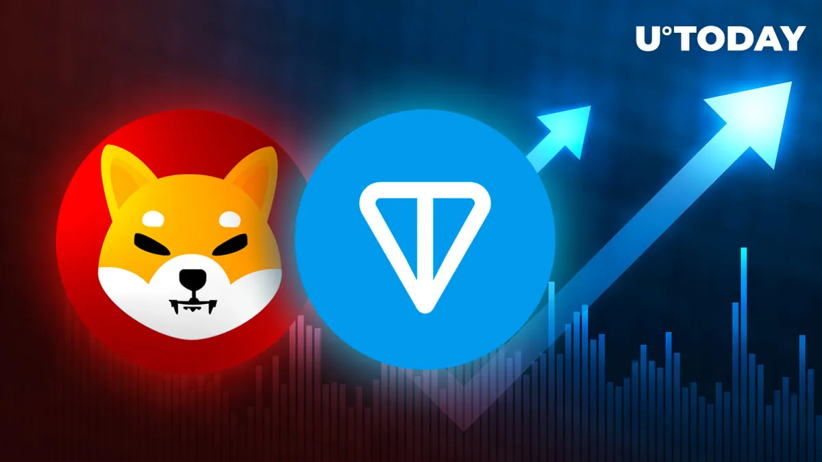 Shiba Inu (SHIB) Slips Below Toncoin (TON); Key Reasons Why