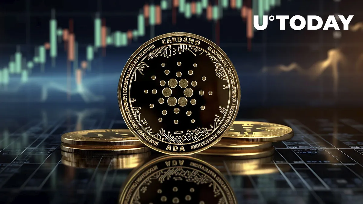 Cardano Sees Significant Jump in New Wallets