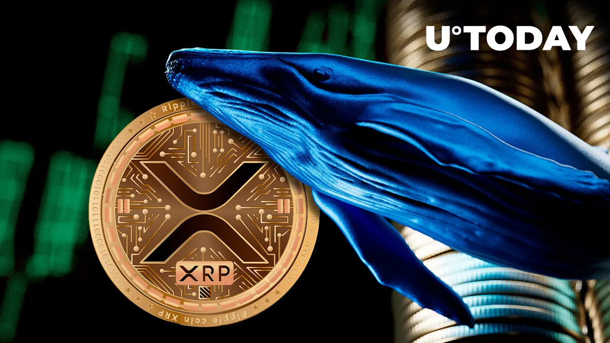 Millions of XRP Snapped up by Whale as Price Prepares Epic Move