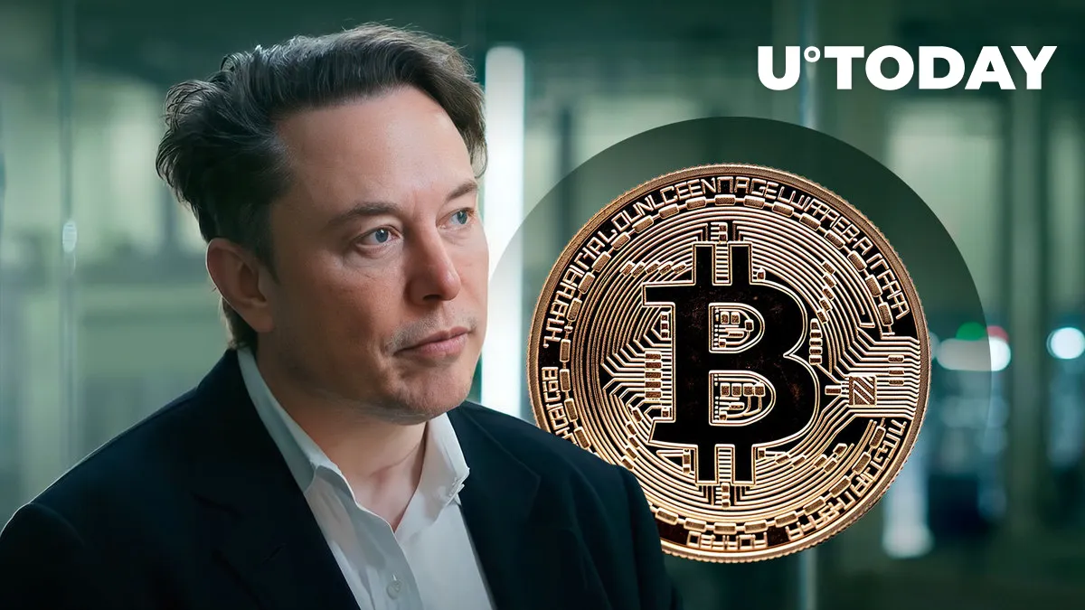 Bitcoin and Elon Musk Have This Stunning Thing In Common: VanEck's Top Exec