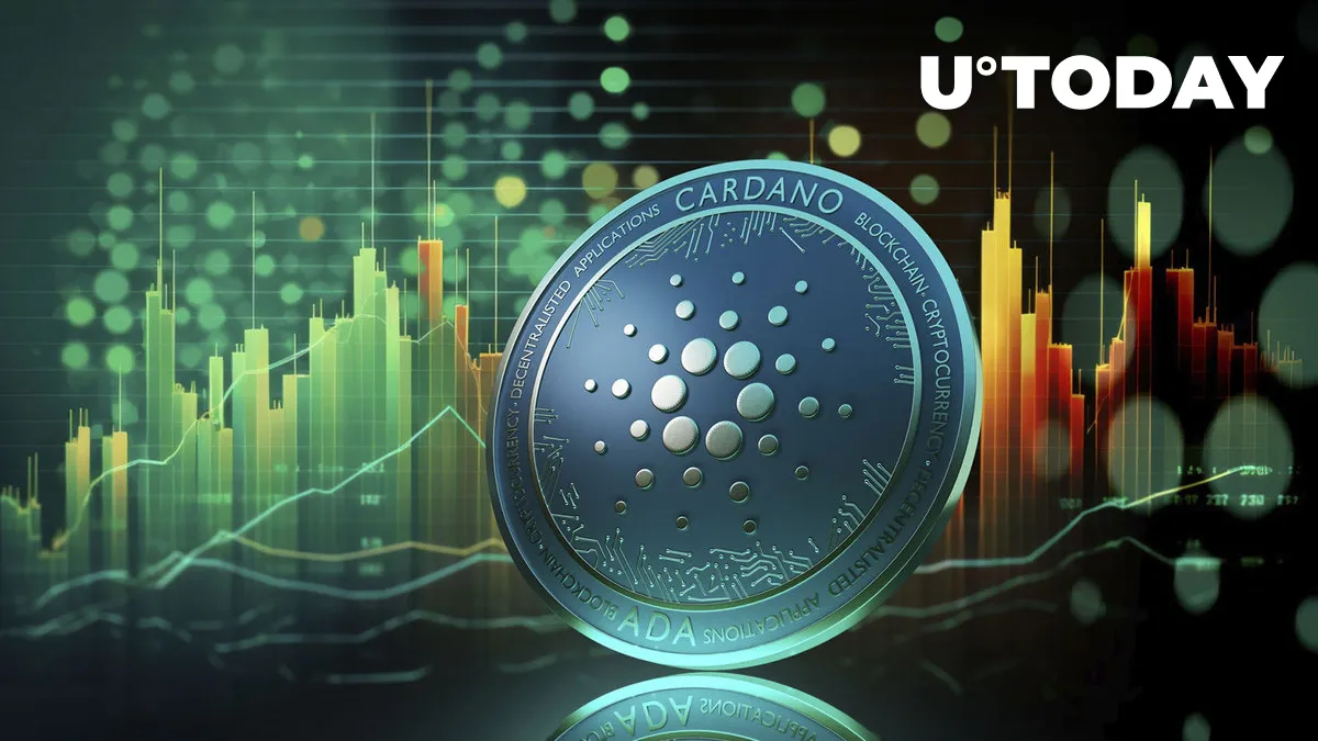 Cardano: Here's Why Long-Term Holders Are Buying More ADA