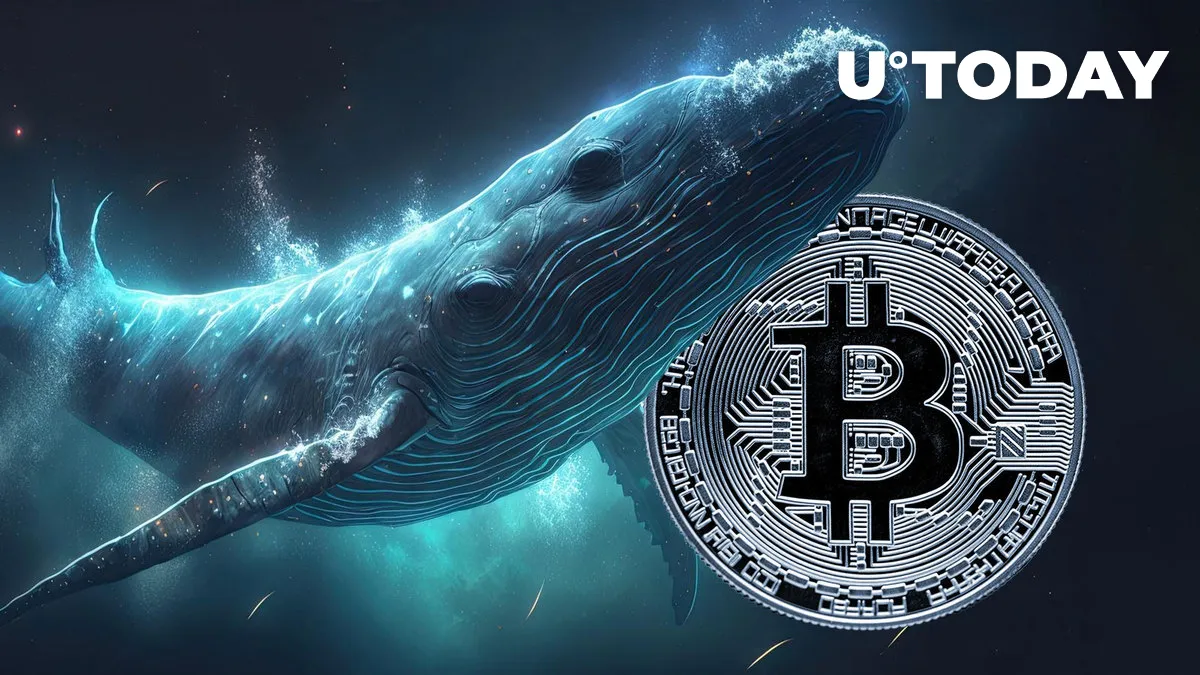 Bitcoin Whales Snap up $5 Billion in BTC - Sign of Another Rally?