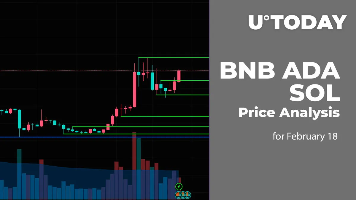 BNB, ADA and SOL Price Prediction for February 18