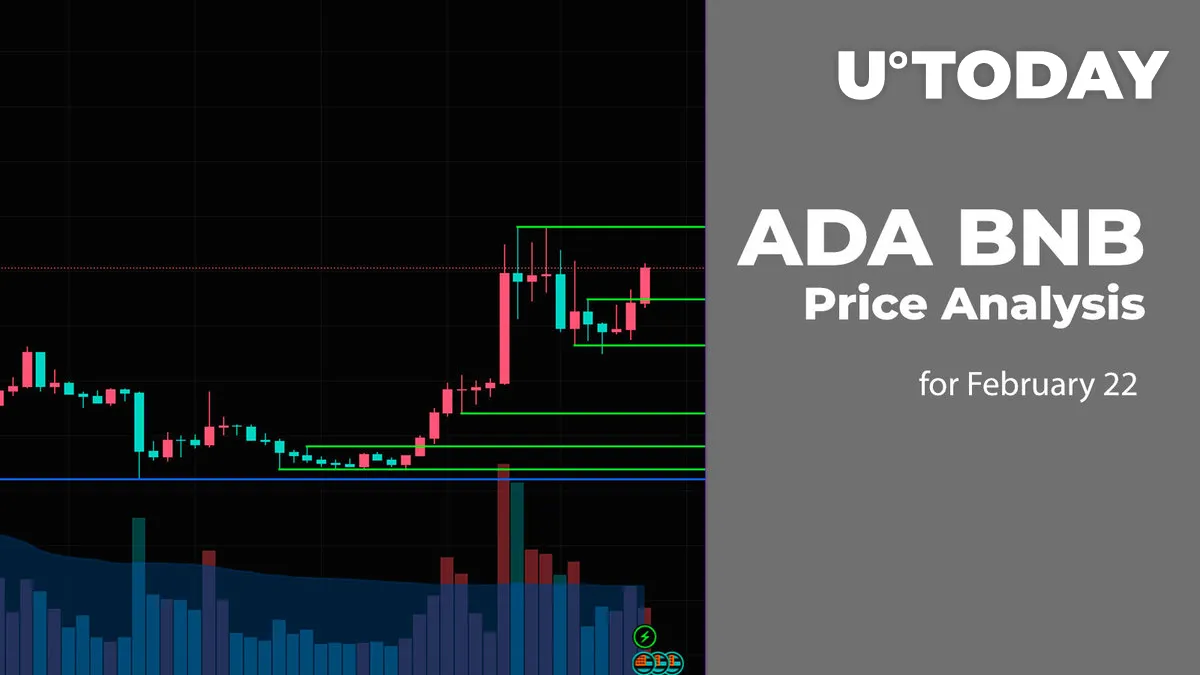 ADA and BNB Price Prediction for February 22