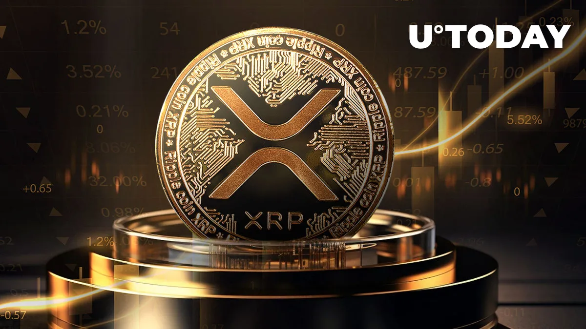 28 Million XRP Moved by Mysterious Whale Amid Surging Crypto Prices