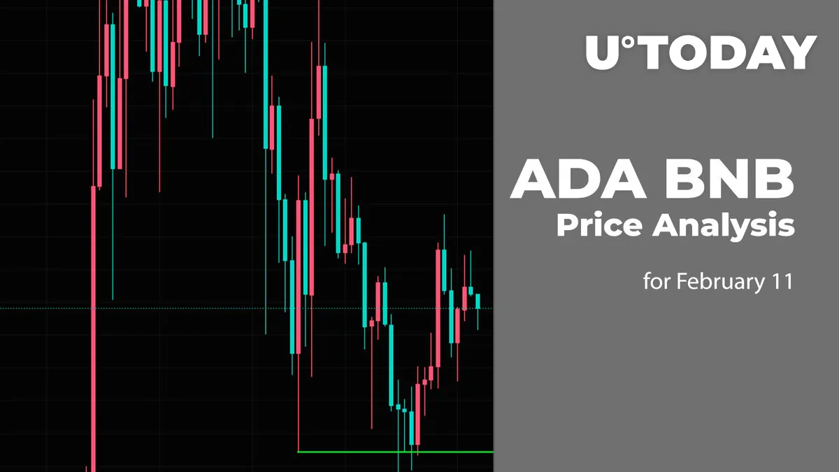 ADA and BNB Price Prediction for February 11