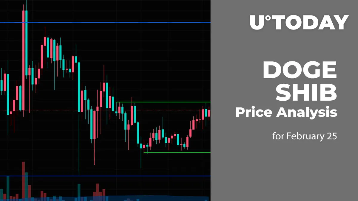 DOGE and SHIB Price Prediction for February 25
