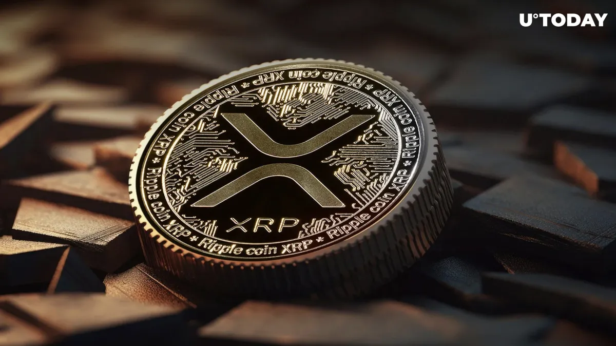 XRP Falls to Key Support as Momentum Falters 