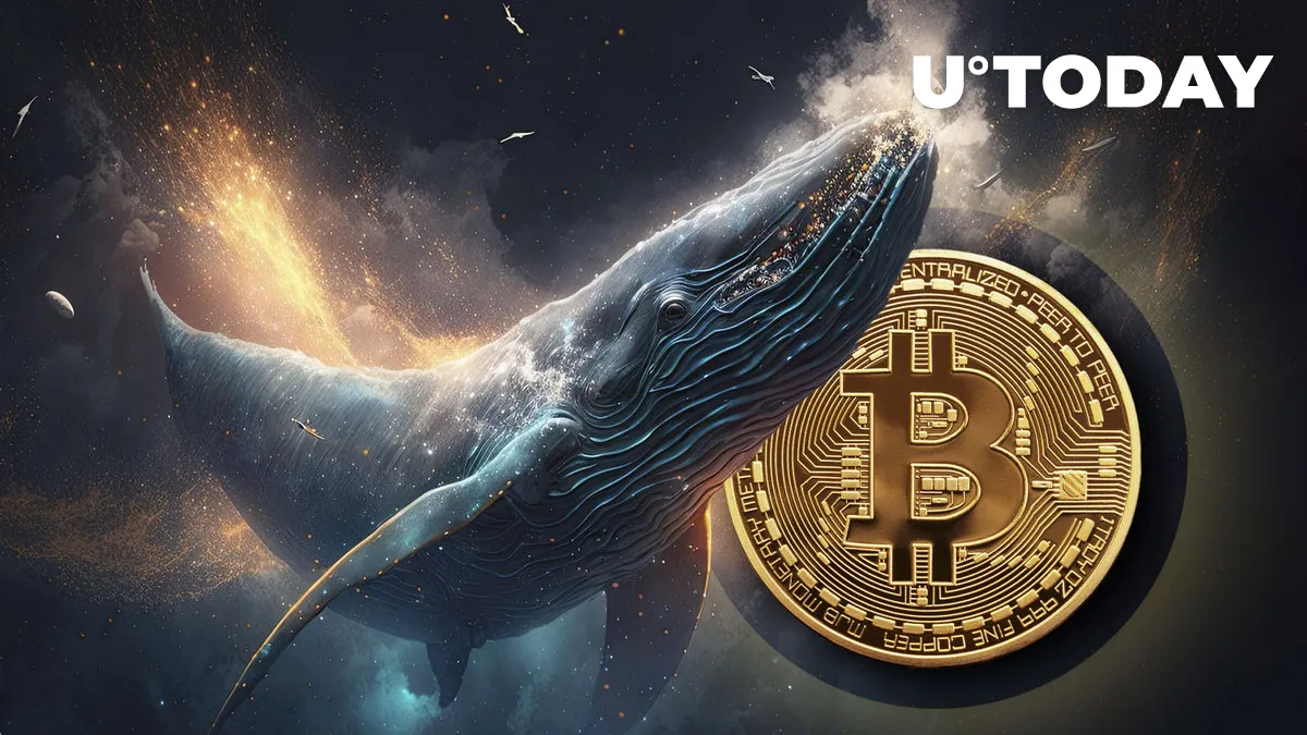 Inflows Into Largest Bitcoin Wallets Surge After Price Crash
