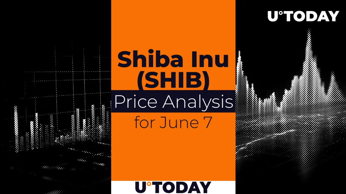 SHIB Price Prediction for June 7