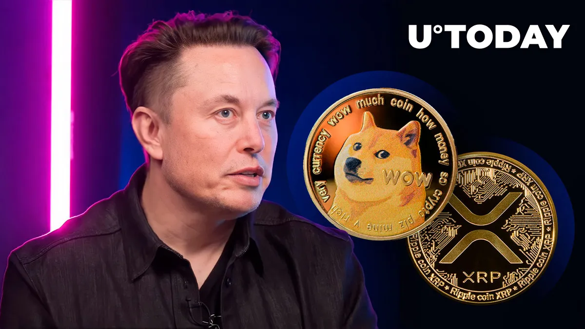 XRP, DOGE Armies Excited by Elon Musk's Message on X