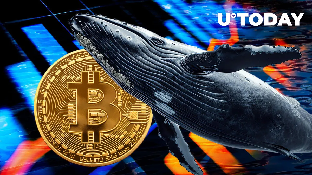 Almost Billion US Dollars in BTC Moved from Exchanges As Price Plunged 5.4%