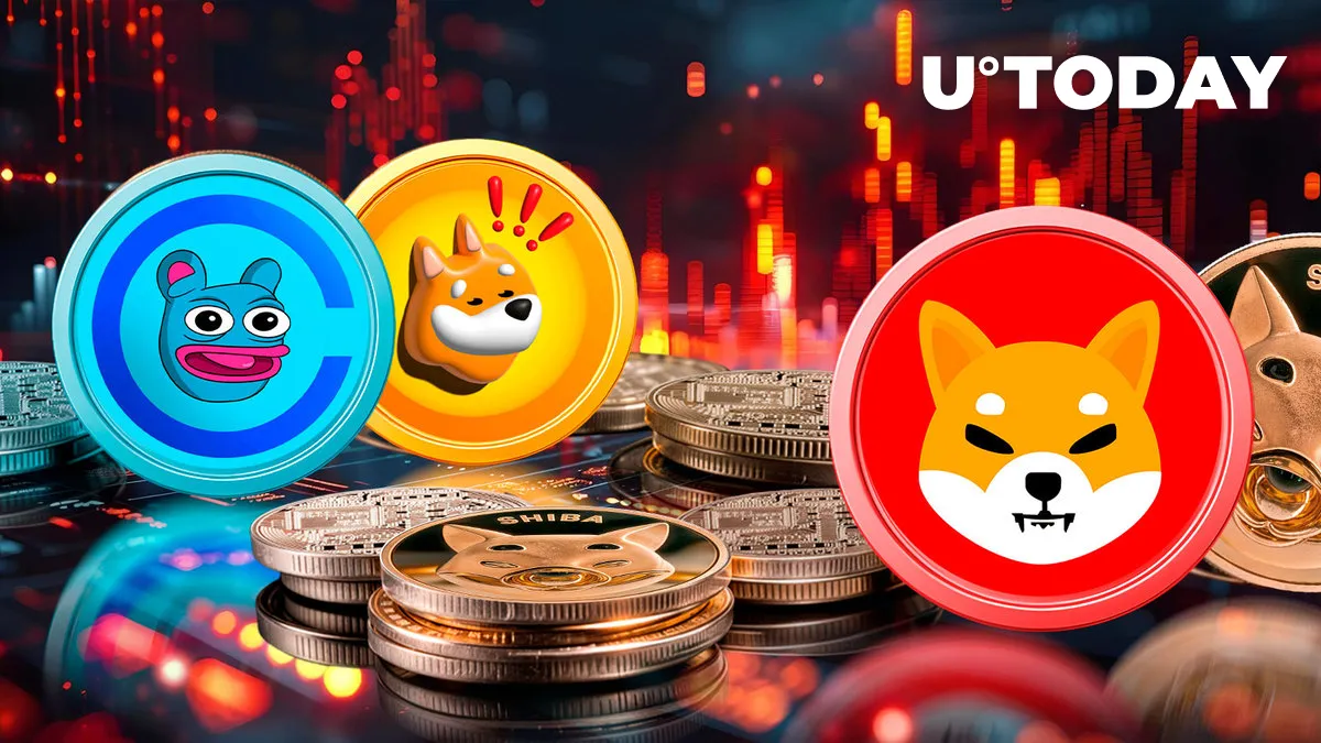 Top Meme Coins BRETT, PEPE, FLOKI Plummeting as Crypto Dips