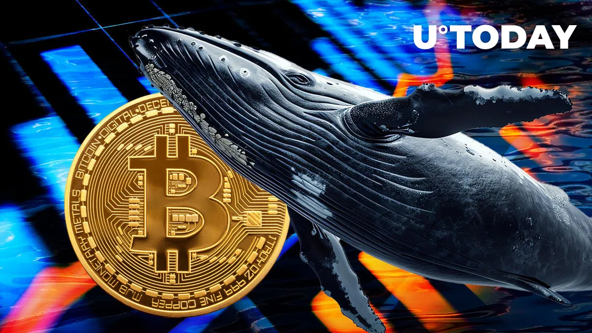 Massive Bitcoin Whale Makes Major Transfer to Coinbase