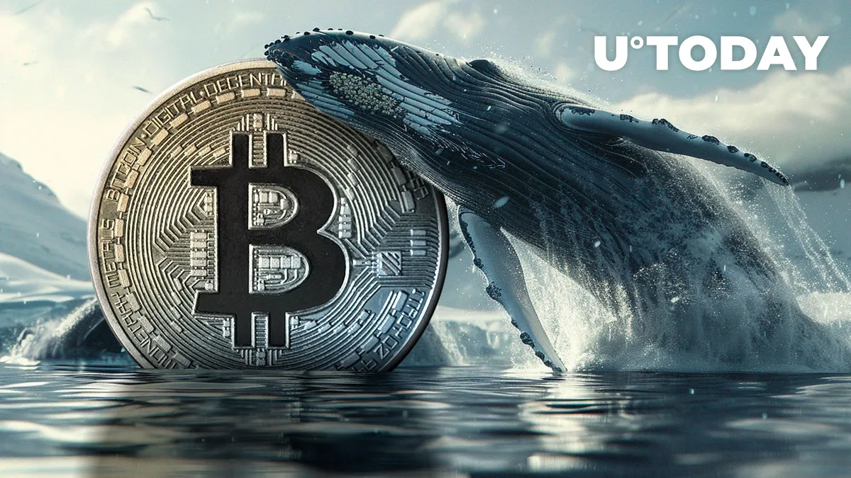 Bitcoin Whales Go Insane, Unloading $4.1 Billion in BTC as Price Crashes 9%