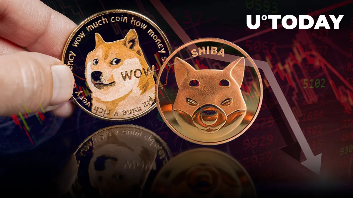 Shiba Inu (SHIB) and Dogecoin (DOGE) Among Top Crypto Laggards as Market Sees Severe Downturn 