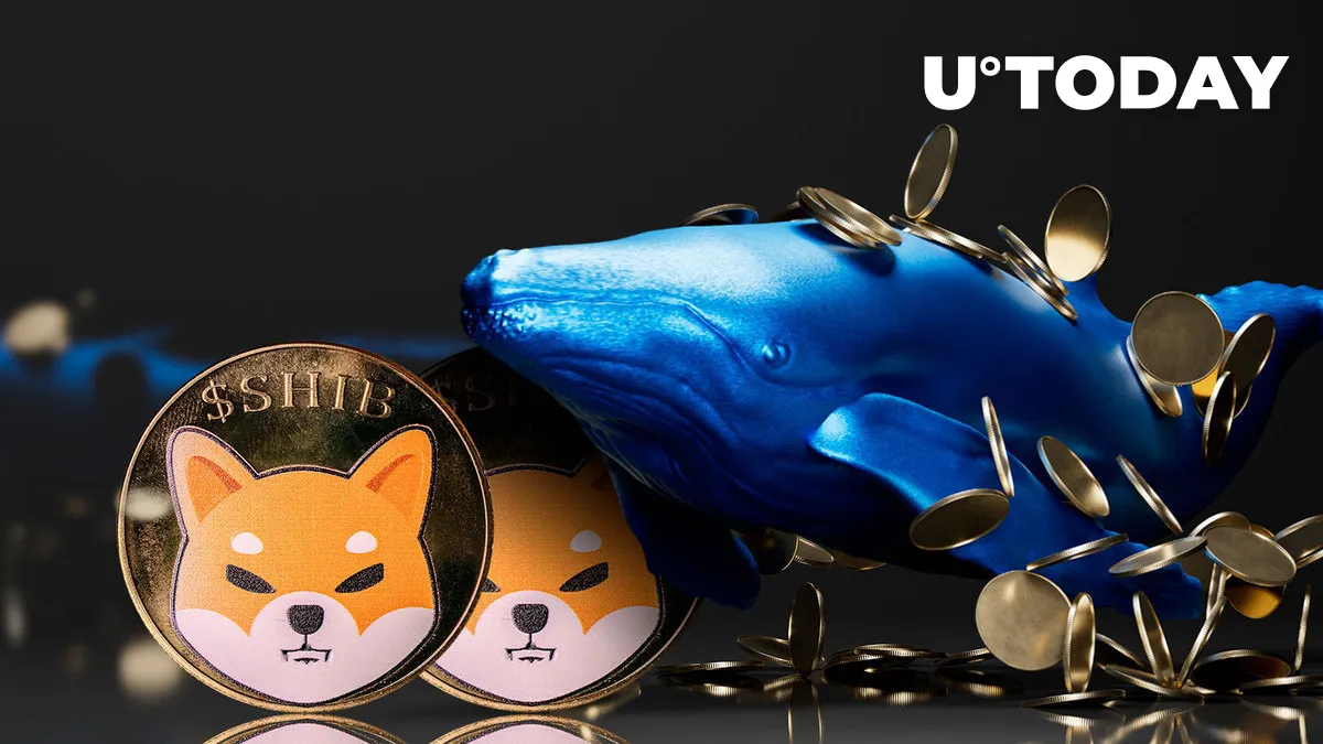 Shiba Inu (SHIB) Whales Have Disappeared