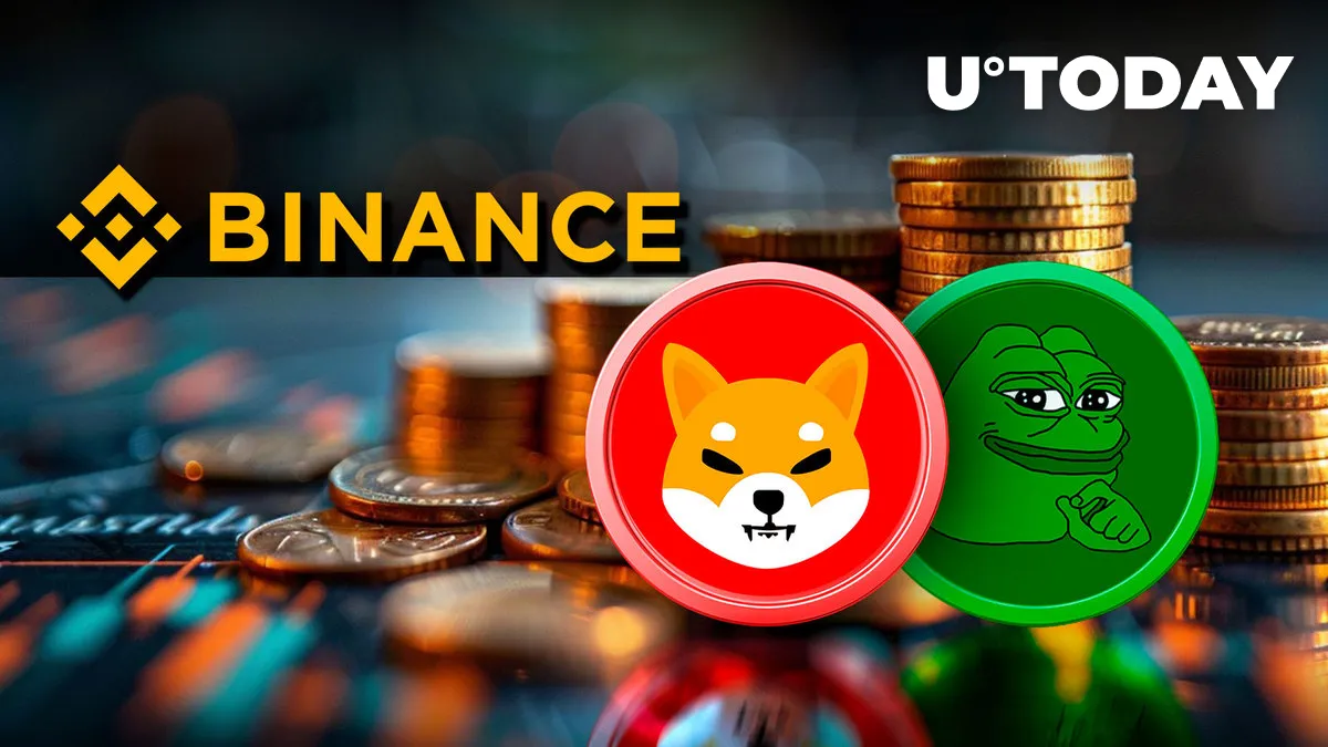 Billions of SHIB and PEPE Exit Binance in $166 Million Crypto Bloodbath