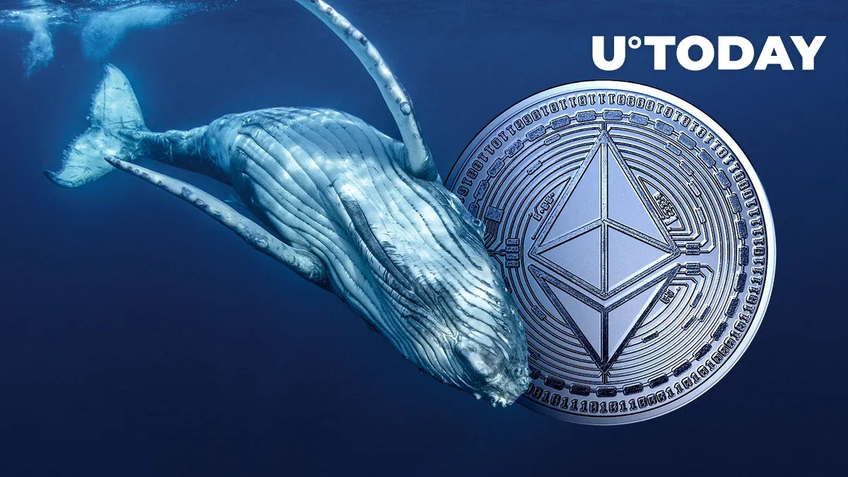 Large Ethereum Whale on Verge of Liquidation as ETH Bloodbath Deepens