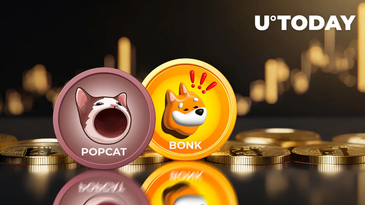 Meme Coins POPCAT, BONK on Fire With Double-Digit Gains Overnight