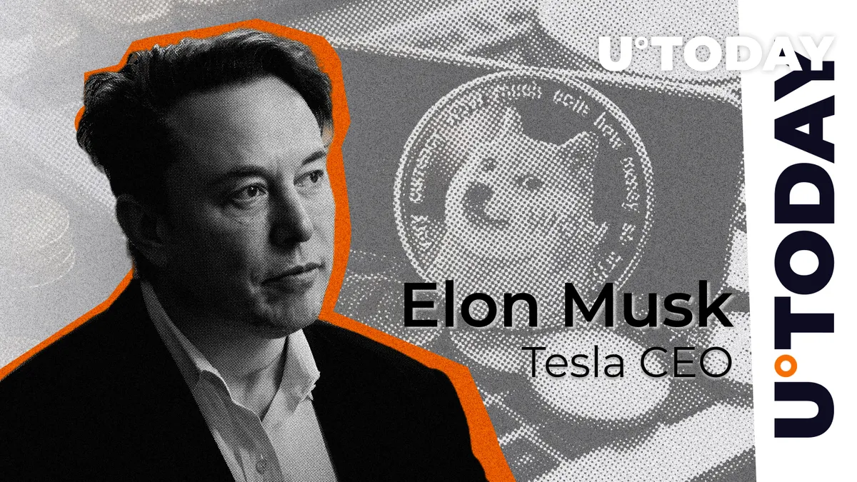 Elon Musk and Dogecoin Founder Stun Crypto Community With Posts About Truth