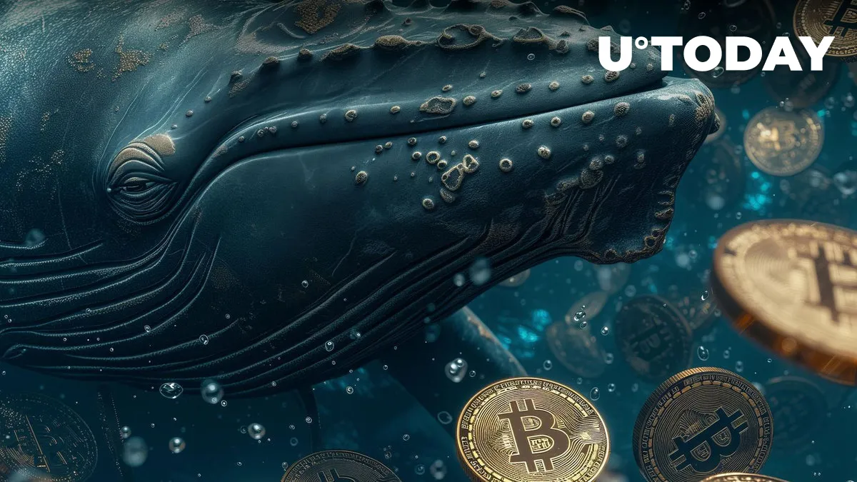 524,701% Profit on Bitcoin Celebrated by Whale After 11.8 Years of Inactivity