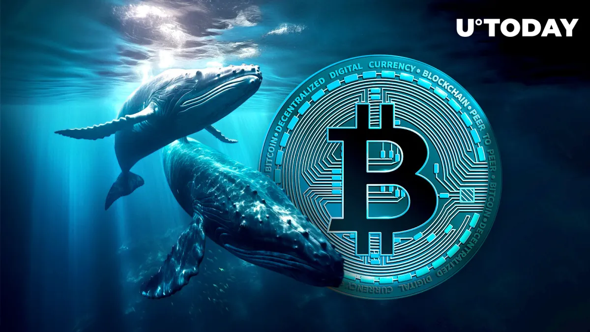 Major Whales Buying Bitcoin (BTC) Dip: Data