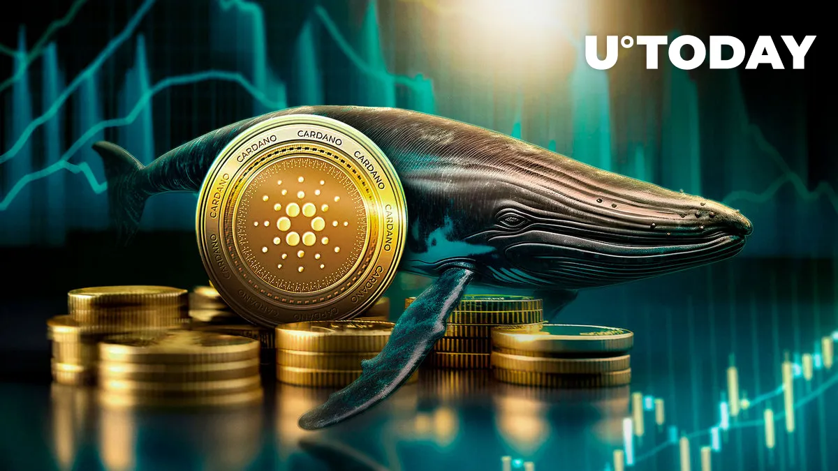 Cardano (ADA) Skyrockets 1,218% in Whale Inflows, What's Going On?