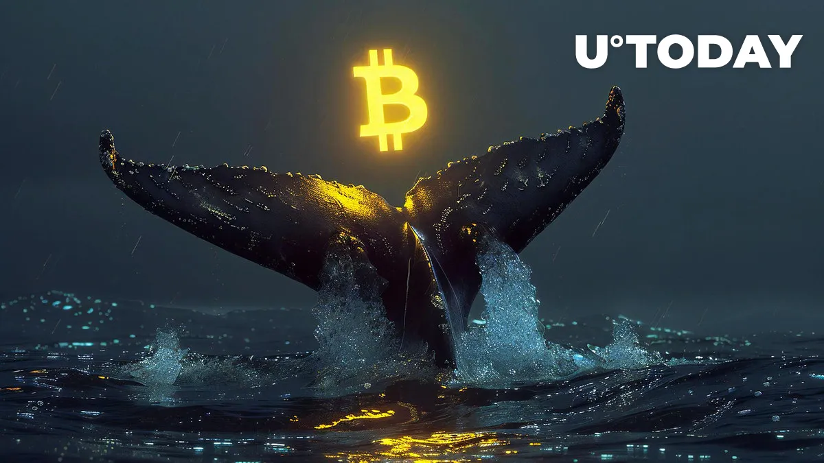 Half Billion Bitcoin Whale Suddenly Grabs Large BTC Chunk