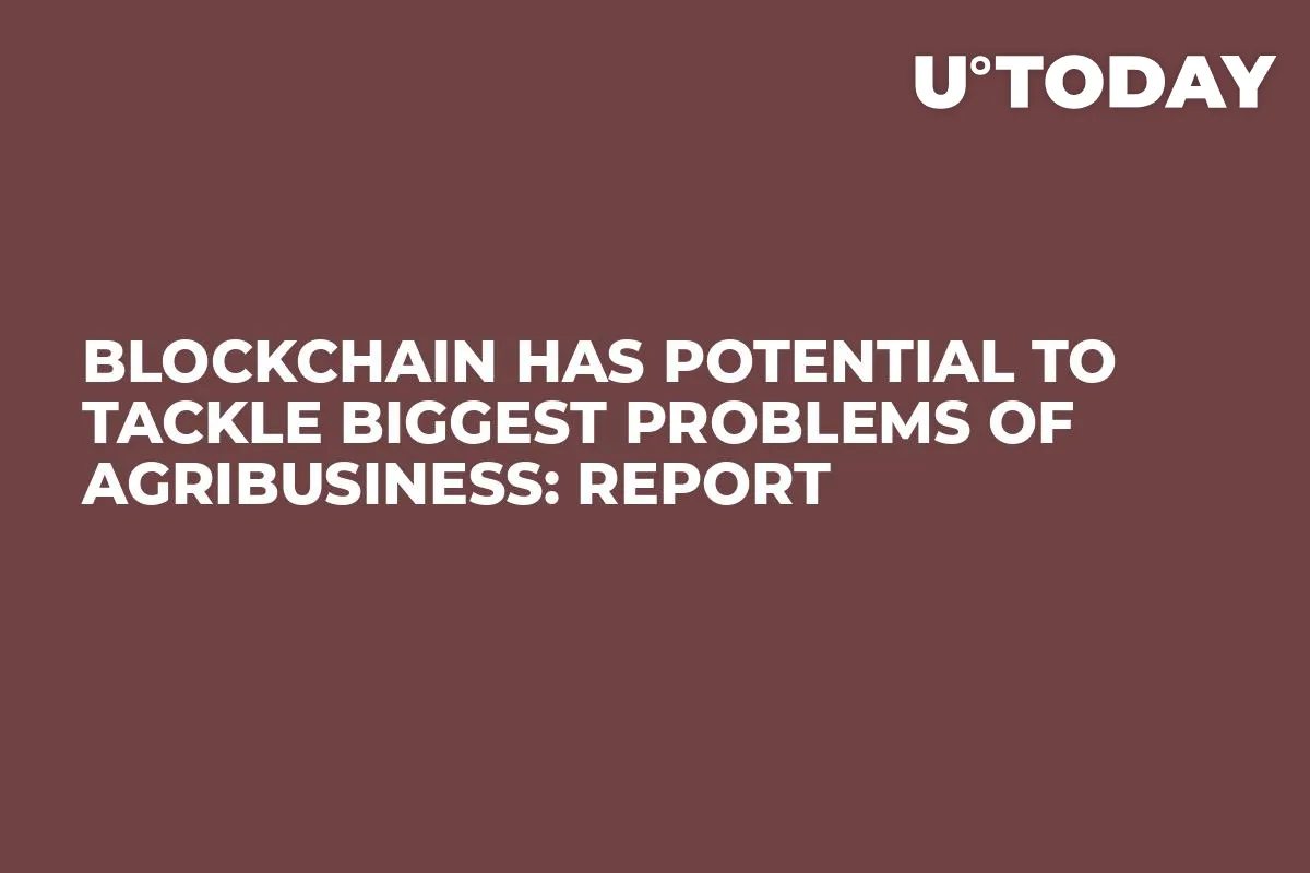 Blockchain Has Potential to Tackle Biggest Problems of Agribusiness: Report 