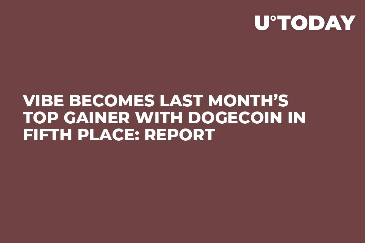 VIBE Becomes Last Month’s Top Gainer With Dogecoin in Fifth Place: Report
