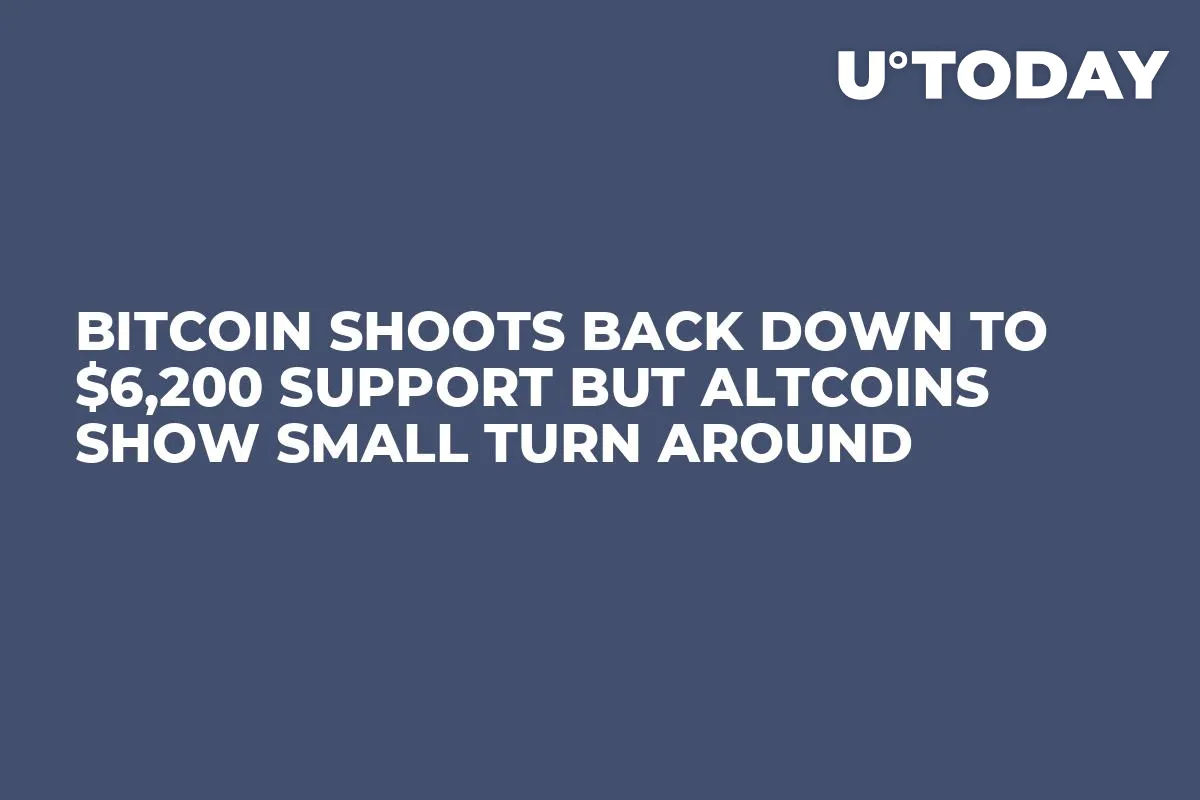 Bitcoin Shoots Back Down to $6,200 Support But Altcoins Show Small Turn Around