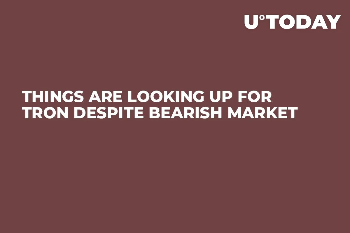 Things Are Looking Up for Tron Despite Bearish Market