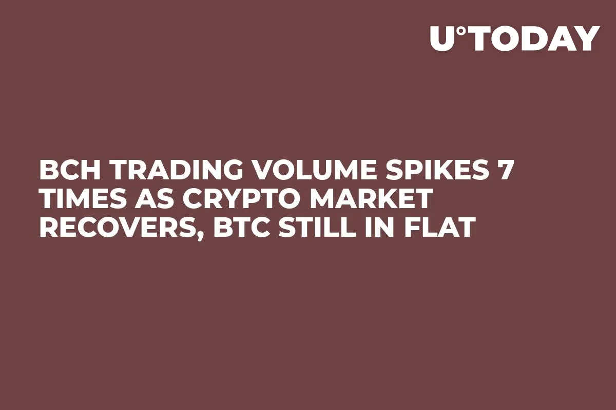 BCH Trading Volume Spikes 7 Times As Crypto Market Recovers, BTC Still in Flat