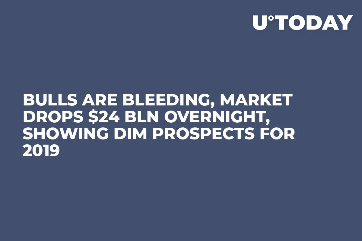 Bulls Are Bleeding, Market Drops $24 Bln Overnight, Showing Dim Prospects for 2019