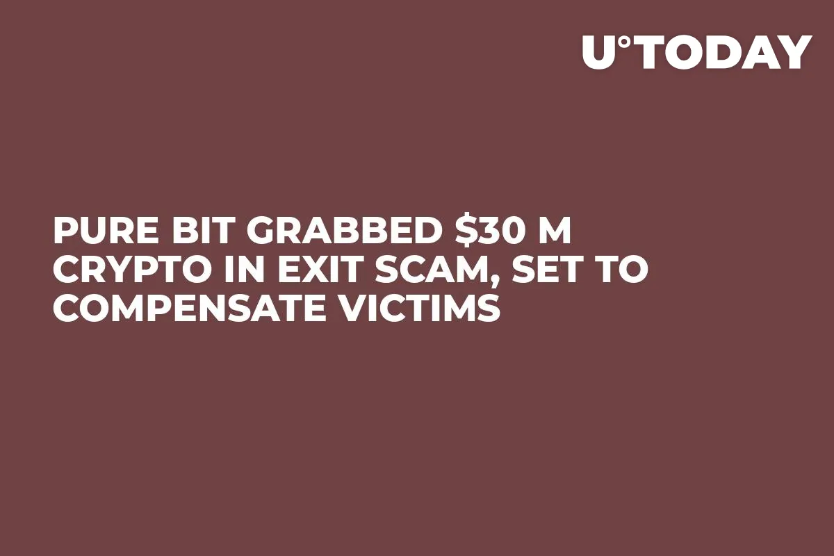 Pure Bit Grabbed $30 M Crypto in Exit Scam, Set to Compensate Victims