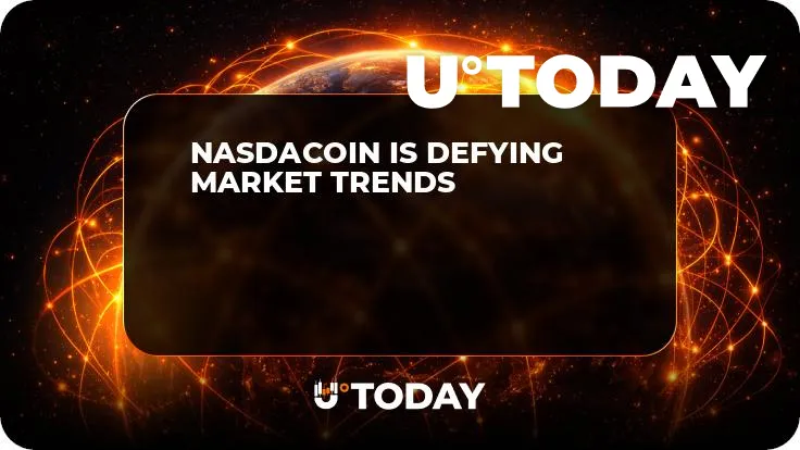 Nasdacoin Is Defying Market Trends