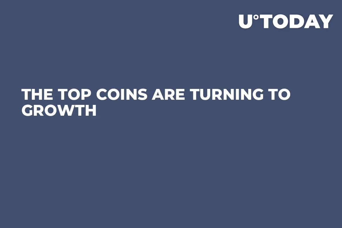 The Top Coins are Turning to Growth