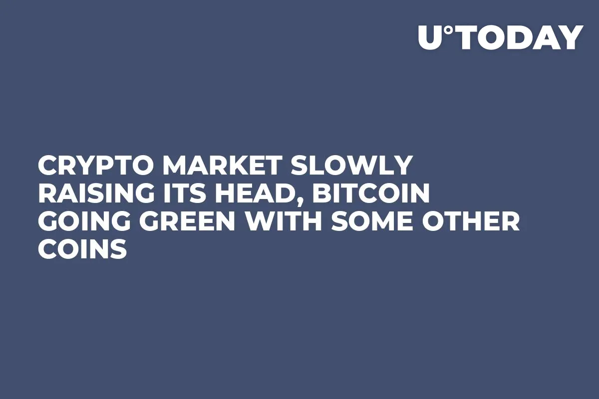 Crypto Market Slowly Raising Its Head, Bitcoin Going Green With Some Other Coins